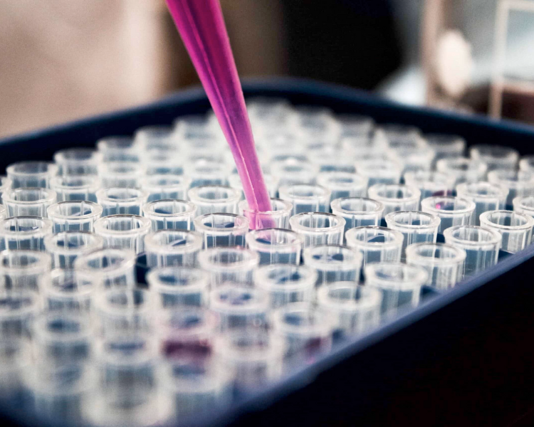 Reveal Your Fitness Potential: Test your DNA for Maximum Results | Justina Training